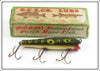 Vintage Creek Chub Frog Spot Darter Lure In Box