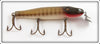 Creek Chub Pikie Scale Pikie In Box