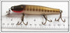 Creek Chub Pikie Scale Pikie In Box