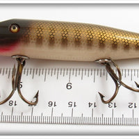 Creek Chub Pikie Scale Pikie In Box