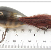 Creek Chub Pikie Scale Surface Dingbat