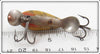 Shakespeare Yellow Perch Dopey