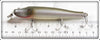 Creek Chub Silver Shiner Pikie