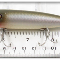 Creek Chub Silver Shiner Pikie