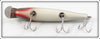 Creek Chub Silver Shiner Pikie