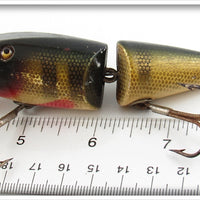 Creek Chub Perch Wigglefish