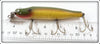 Creek Chub Golden Shiner Pikie 704