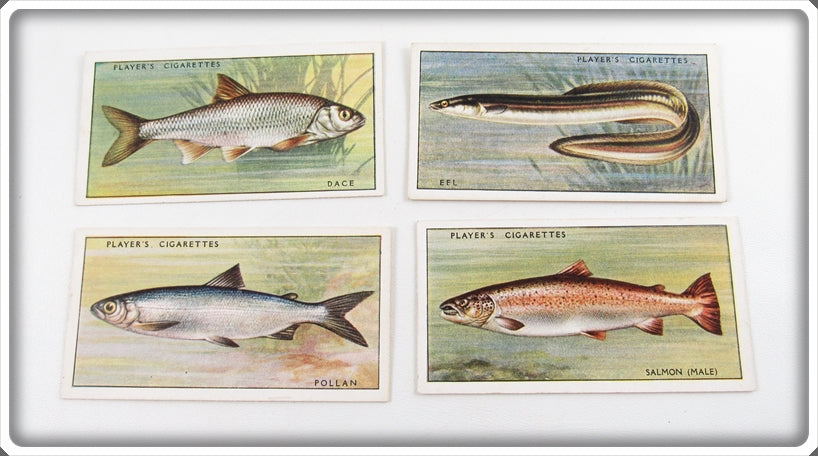 Dace, Pollan, Eel & Salmon Player's Cigarette Card Lot