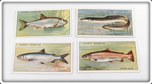 Dace, Pollan, Eel & Salmon Player's Cigarette Card Lot