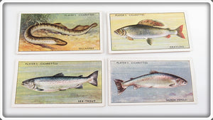 Vintage Sea Lamprey, Sea Trout, Grayling & Trout Cigarette Card Lot