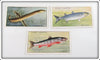 Vintage Broad Nosed Eels, Char & Grey Mullet Cigarette Card Lot