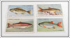 Ruff, Rainbow Trout, Gudgeon & Rudd Player's Cigarette Card Lot