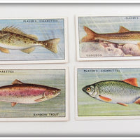 Ruff, Rainbow Trout, Gudgeon & Rudd Player's Cigarette Card Lot