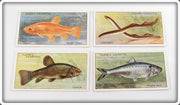 Vintage Tench, Lamperns & Twaite Shad Player's Cigarette Card Lot