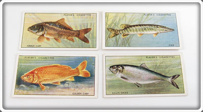 Vintage Carp, Pike & Allis Shad Player's Cigarette Card Lot