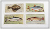 Vintage Flounder, Powan, Roach & Brown Trout Cigarette Card Lot