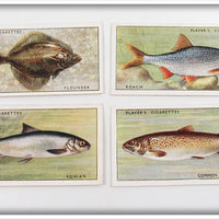 Vintage Flounder, Powan, Roach & Brown Trout Cigarette Card Lot