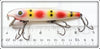 Pflueger Strawberry Palomine