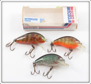 Rebel Naturalized Humpy & Teeny R Lot Of Three Lures With One Box