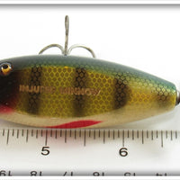 Creek Chub Perch Baby Injured Minnow