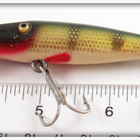 Creek Chub Perch Midget Pikie