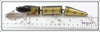 Creek Chub Perch Triple Jointed Pikie 2801 P