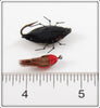 Unknown Fly Rod Beetle Bug Pair