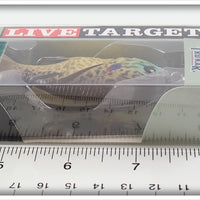 Live Target Copper Pumpkinseed Sunfish In Package