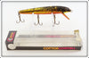 Vintage Cotton Cordell Gold Natural Finish Red Fin Lure In Box