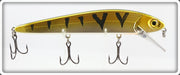 Storm Gold & Black 8" Flat Stick Lure