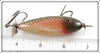 Creek Chub Redside Lefty Baby Injured Minnow