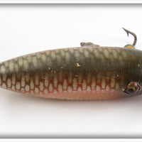 Creek Chub Redside Lefty Baby Injured Minnow