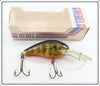 Vintage Rebel Naturalized Perch Crankbait Lure In Box