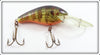 Rebel Naturalized Perch Crankbait In Box