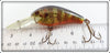 Rebel Naturalized Perch Crankbait In Box