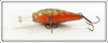 Rebel Naturalized Perch Crankbait In Box