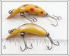 Heddon Spotted Orange & Golden Shiner Tiny Tad Pair 390 SO PG