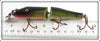 AL&W Creek Chub Perch Jointed Pikie