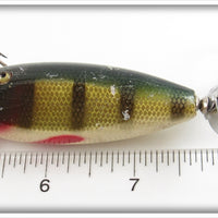 Creek Chub Perch Baby Injured Minnow