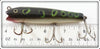 Creek Chub Frog Darter 2019