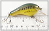Bagley Little Bass On Chartreuse Square Lip Killer B