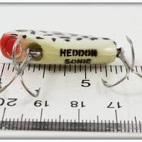 Heddon Coachdog Sonic In Box