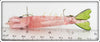 Manning's Shrimp Lure Co Pink & Green Manning's Tasty Shrimp In Box