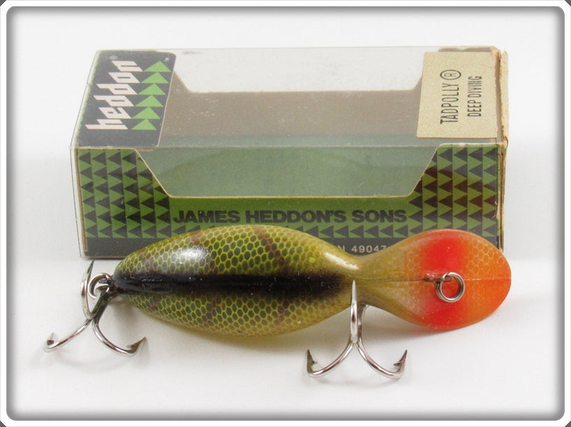 Vintage Heddon Perch Tadpolly Lure In Box