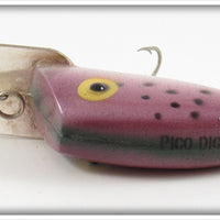 Pico Purple Spotted Digger