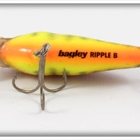 Bagley Dark Crayfish On Chartreuse Ripple B