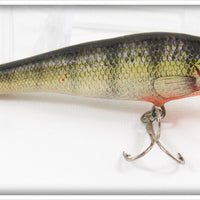 Vintage Bagley Perch On White Small Fry Perch Lure