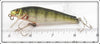 Bagley Perch On White Small Fry Perch