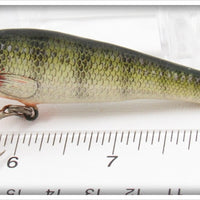 Bagley Perch On White Small Fry Perch