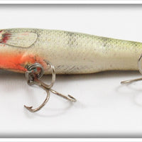 Bagley Perch On White Small Fry Perch